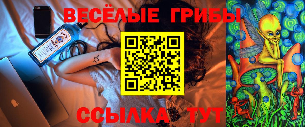 Псилоцибиновые грибы Psilocybine cubensis Новоалександровск